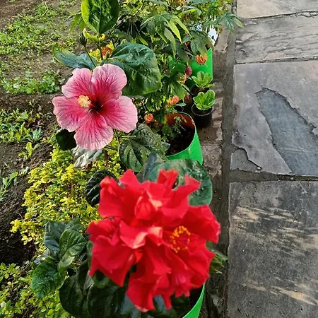Jheelam Homestay Bhopal Exterior photo