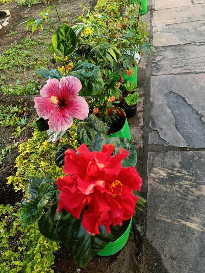 Homestay Jheelam