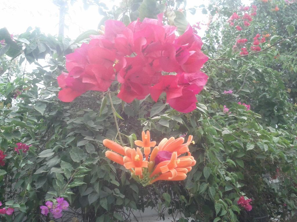 Homestay Jheelam Bhopal