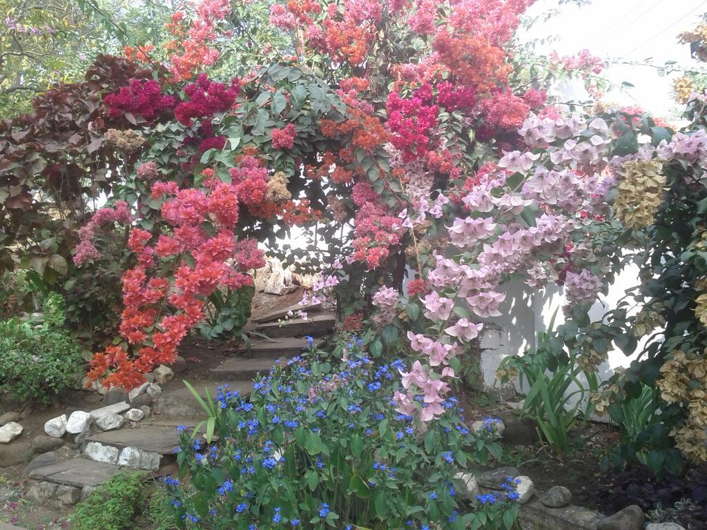 Jheelam * Bhopal