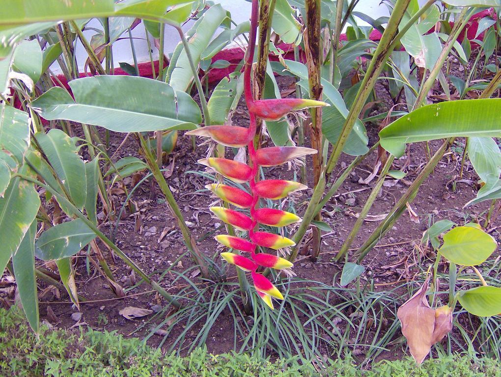 Jheelam * Bhopal